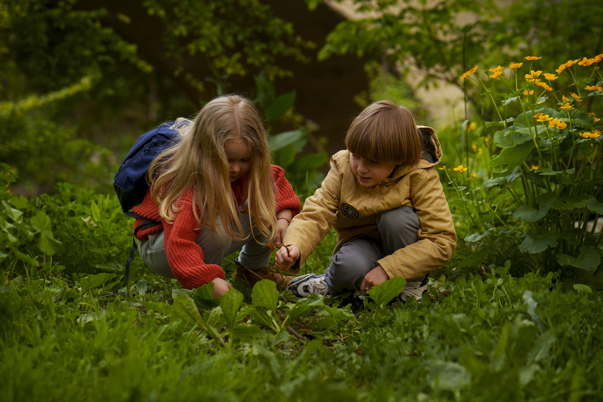full-shot-kids-exploring-nature-together