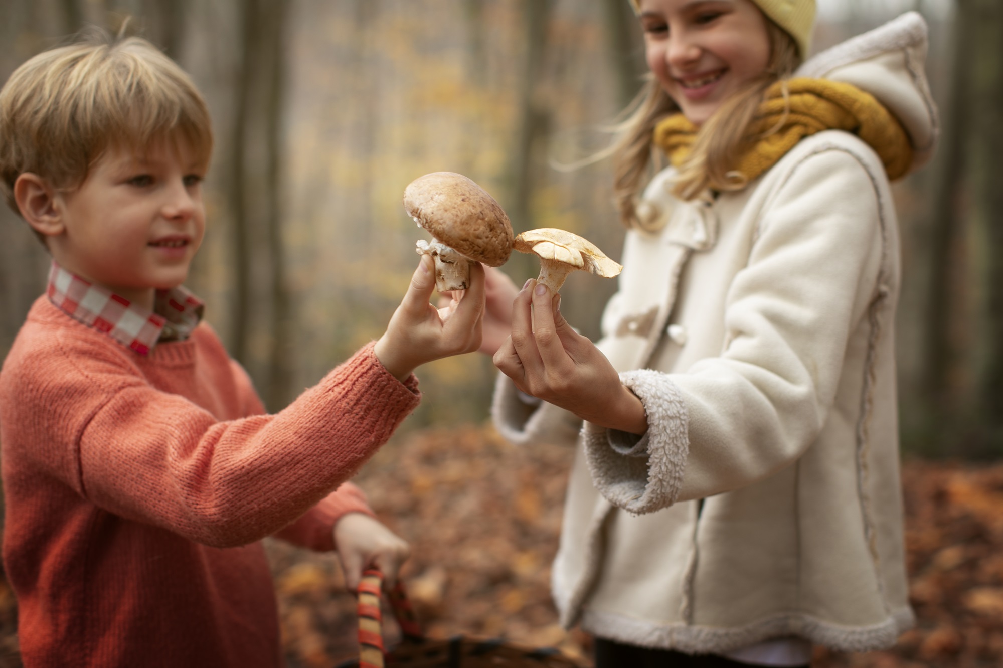 people-collecting-food-from-forest