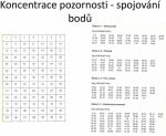 koncentrace staršídítě04