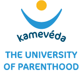 kameveda.com